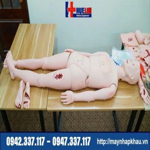 Mô hình các vết thương ngoại khoa