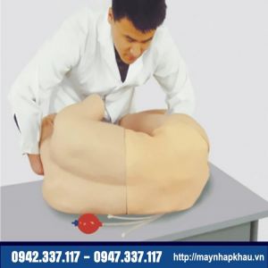 Mô hình chọc dò tủy sống