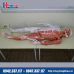 Mô hình giải phẫu hệ cơ và nội tạng người 170cm