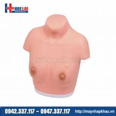 Mô hình thực hành khám vú