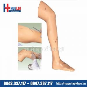 Mô hình thực hành phẫu thuật và khâu da chi dưới