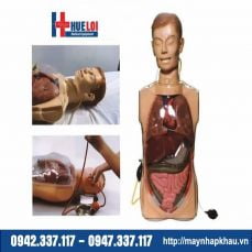 Mô hình thực hành rửa dạ dày
