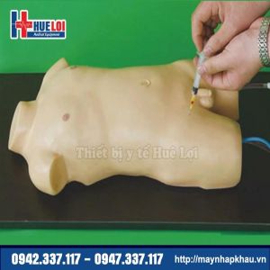Mô hình thực hành lấy máu động mạch và tĩnh mạch đùi