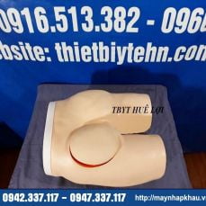 Mô hình tiêm bắp sâu (Tiêm mông)