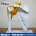 Mô Hình Xương Khớp Bả Vai Kèm Dây Chằng