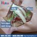 Mô hình thực hành đặt Catheter tĩnh mạch trung tâm