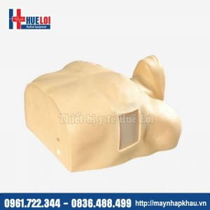Mô hình chọc dẫn lưu tràn dịch tràn khí màng phổi