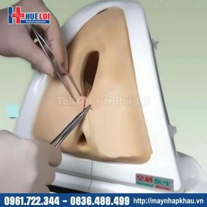 Mô hình thực tập khâu tầng sinh môn