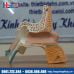 Mô hình giải phẫu tai người phóng đại