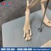 Mô hình xương mèo cao cấp