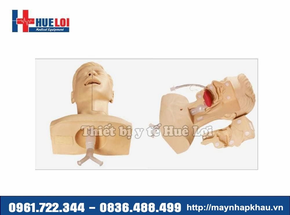 Mô hình thực hành hút đờm dãi đường hô hấp
