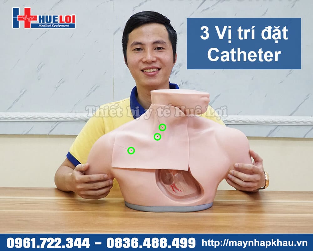 mô hình thực hành đặt catheter tĩnh mạch
