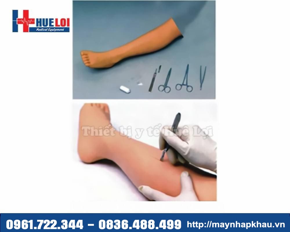mô hình phẫu thuật chân